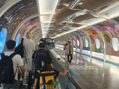 -广州白云国际机场-T2航站楼