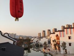 -洋湖国家湿地公园