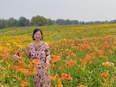 -汉长安城未央宫国家考古遗址公园