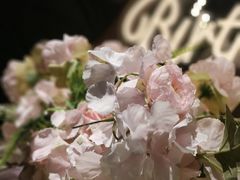 -碧特博格·20年品牌西餐厅(芜湖路店)