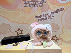 -美罗城