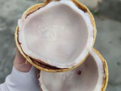 -后海村