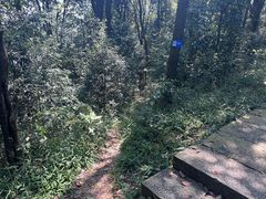 -西湖风景区十里琅珰-五云山