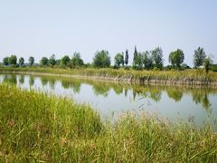 -野鸭湖国家湿地公园