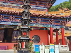 -东莞市大岭山森林公园