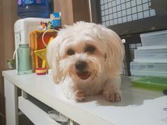 -宠物家(角门东店)