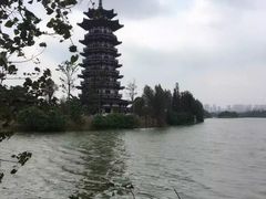 -洋湖国家湿地公园