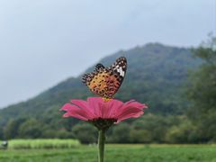 -八卦田遗址公园