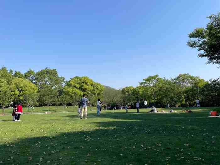 顾村公园-"占地面积很大,就是里面的东西不多,没啥吸.