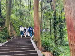 -青城山