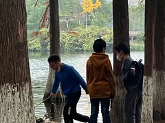 -重庆彩云湖湿地公园