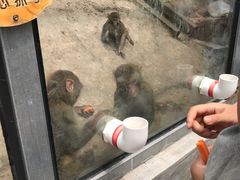 -北京鹿世界主题园