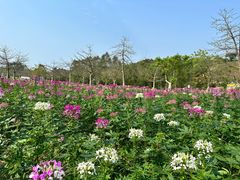 -清远熹乐谷温泉度假酒店