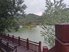 -广州白江湖森林公园