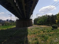 -长白岛森林公园