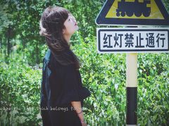 -西青郊野公园