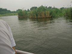 -白洋淀景区