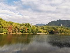 -深圳仙湖植物园