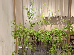 -喜茶(广州保利中环店)