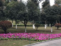 -龙头寺公园