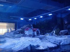 -上海海昌海洋公园