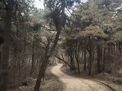 -沈阳辉山风景区