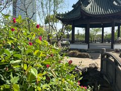 -无锡蠡湖国家湿地公园-蠡园