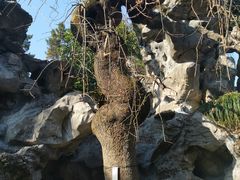 -浙江省博物馆(孤山馆区)