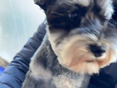 -宠颐生·恒爱宠物医院(静海店)