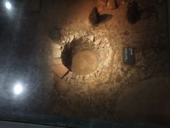 -南越王博物院(王宫展区)