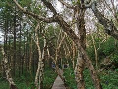 -白草畔自然风景区