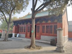 -药王庙(安国市)