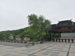 -香雪海