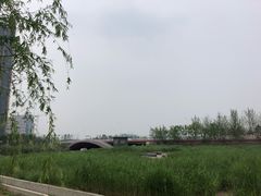 -西海子公园