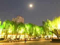 -颜家菜·鲁菜世家(大明湖店)