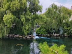 -百脉泉景区