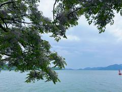 -东钱湖旅游度假区