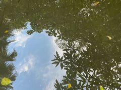 -佛山岭南天地康得思酒店