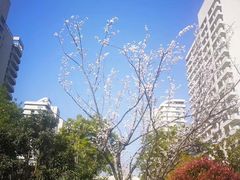 -泰康之家·申园