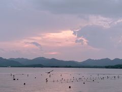 -杭州君悦酒店