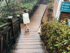 -江南天池高山汤泉城