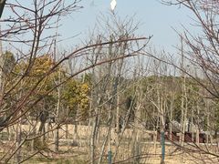 -柳鹭田园区