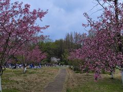 -杭州植物园