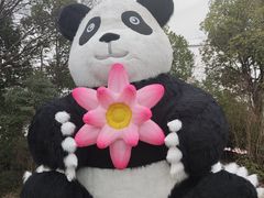 -苏州太湖国家湿地公园