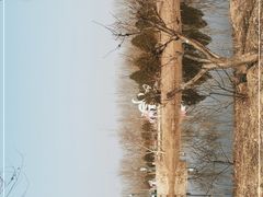 -东郊湿地公园