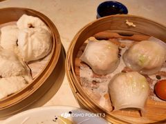 -点都德·毕德寮