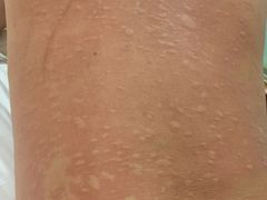 -秦府大虾(邢台中北世纪城店)