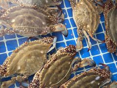 -威海渔村(黄兴路店)