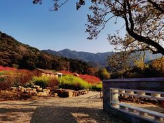 -广州市石门国家森林公园