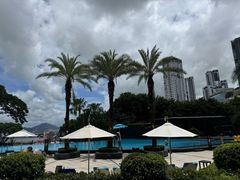 -蛇口希尔顿南海酒店·随轩中餐厅·粤菜